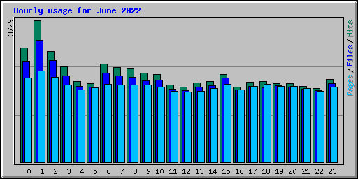 Hourly usage for June 2022